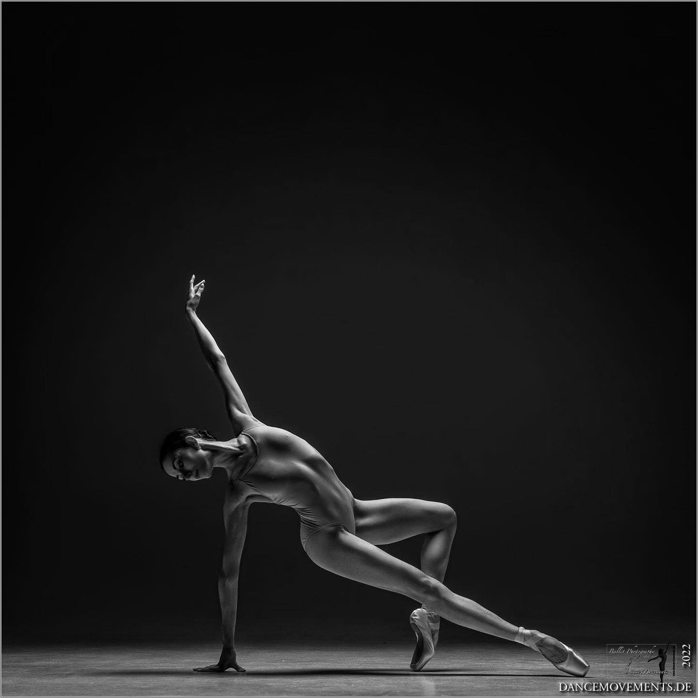 Anhelina Bosenko Ангеліна Босенко | Ballet: The Best Photographs